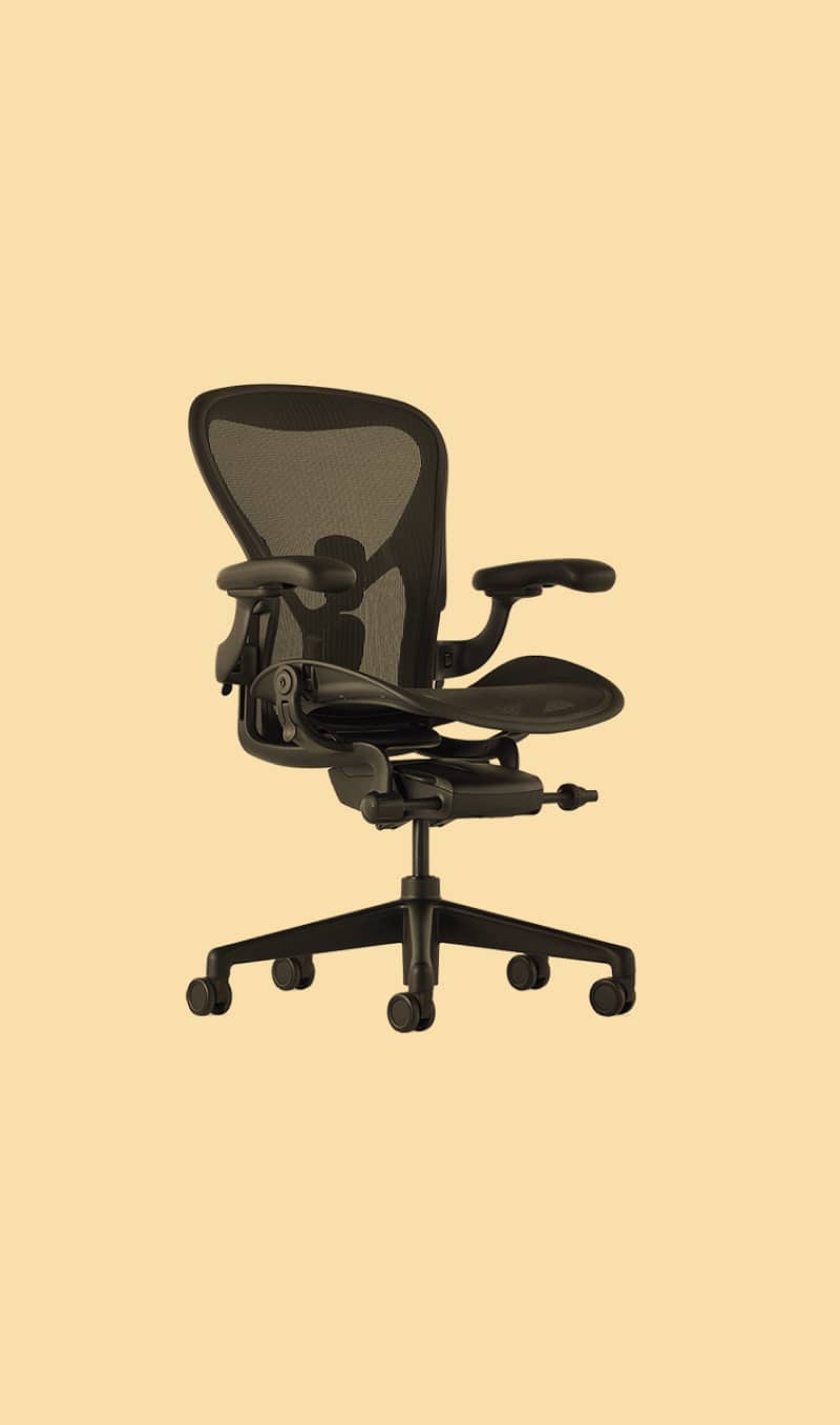 Aeron Chair by Bill Stumpf and Don Chadwick